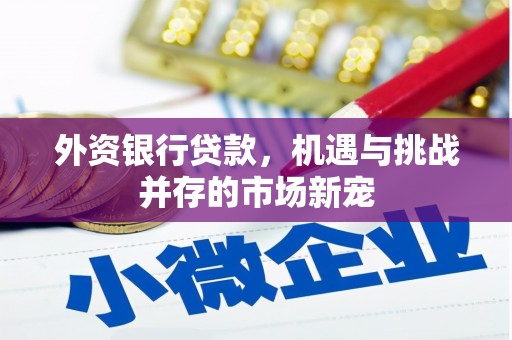崇州外资银行贷款，机遇与挑战并存的市场新宠