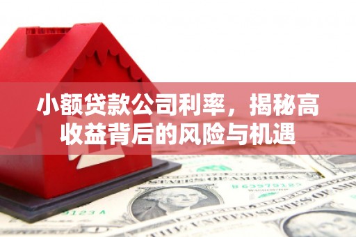 崇州小额贷款公司利率，揭秘高收益背后的风险与机遇