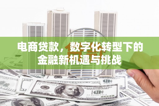 崇州电商贷款，数字化转型下的金融新机遇与挑战
