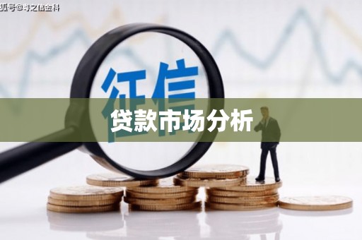 崇州贷款市场分析