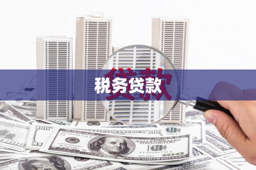 崇州税务贷款