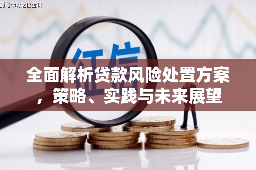 崇州全面解析贷款风险处置方案，策略、实践与未来展望