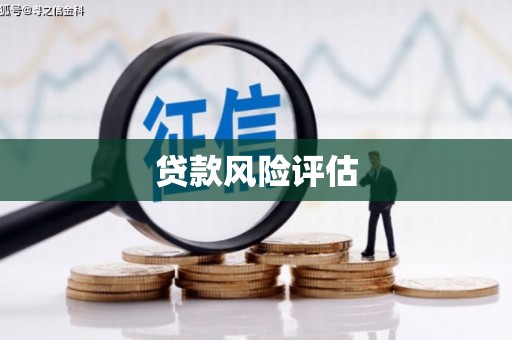 崇州贷款风险评估