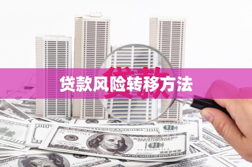 崇州贷款风险转移方法
