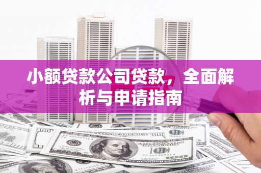 崇州小额贷款公司贷款，全面解析与申请指南