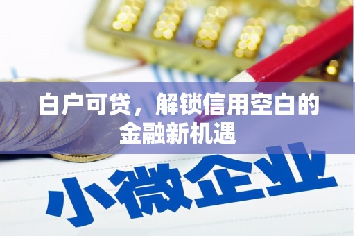 崇州白户可贷，解锁信用空白的金融新机遇