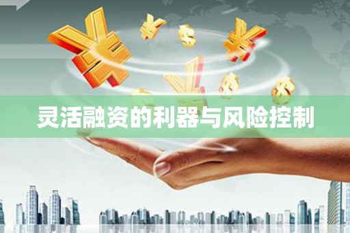 崇州灵活融资的利器与风险控制