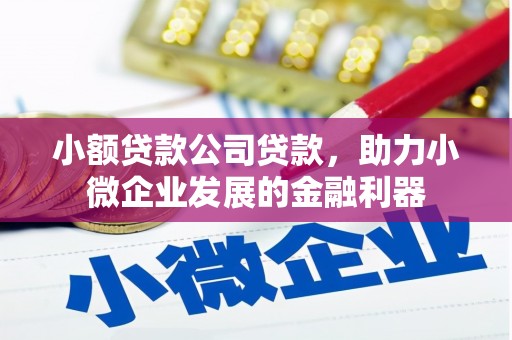 崇州小额贷款公司贷款，助力小微企业发展的金融利器