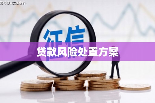 崇州贷款风险处置方案