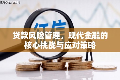 崇州贷款风险管理，现代金融的核心挑战与应对策略