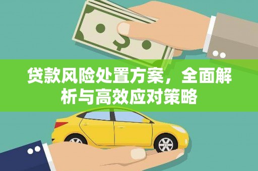 崇州贷款风险处置方案，全面解析与高效应对策略