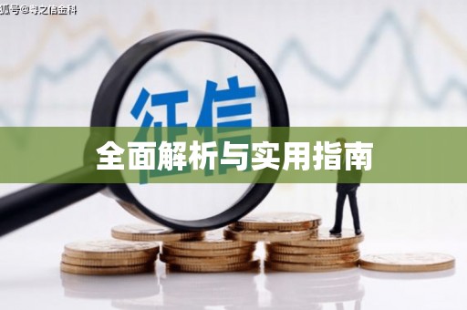 崇州全面解析与实用指南