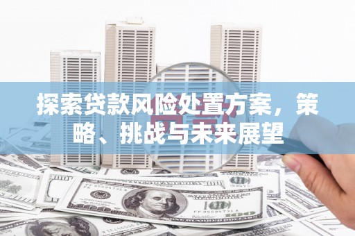 崇州探索贷款风险处置方案，策略、挑战与未来展望