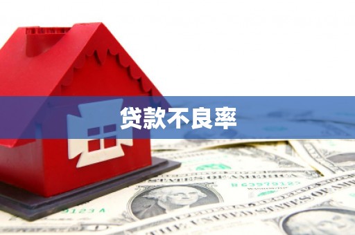 崇州贷款不良率