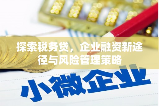 崇州探索税务贷，企业融资新途径与风险管理策略