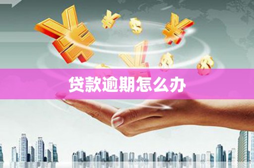 崇州贷款逾期怎么办