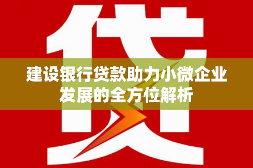 崇州建设银行贷款助力小微企业发展的全方位解析