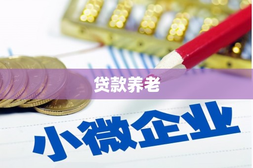崇州贷款养老