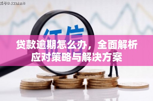 崇州贷款逾期怎么办，全面解析应对策略与解决方案