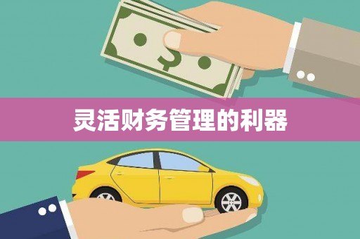 崇州灵活财务管理的利器