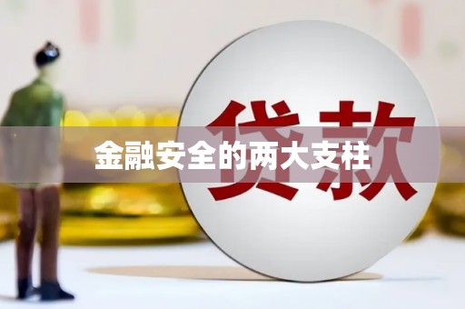 崇州金融安全的两大支柱