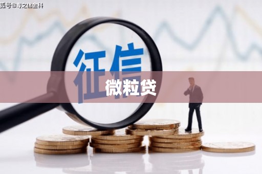 崇州微粒贷