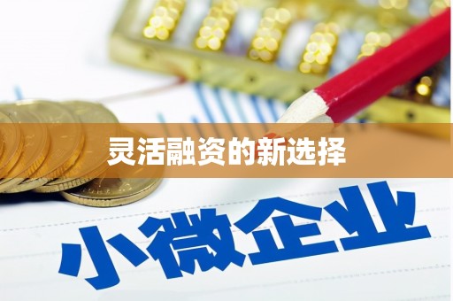 崇州灵活融资的新选择