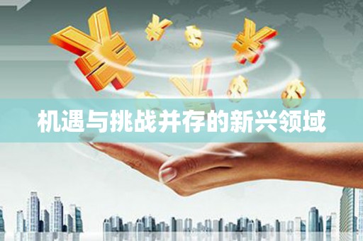 崇州机遇与挑战并存的新兴领域